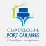 guadeloupe-port-caraibes-200×200